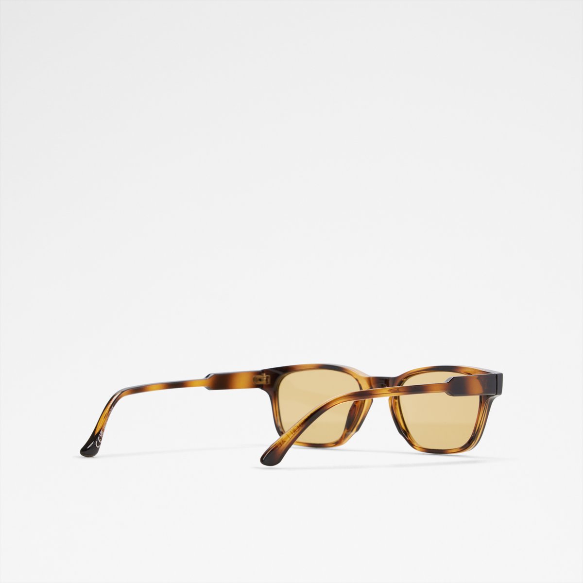 Arigolin Wayfarer Sunglasses