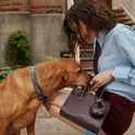 Auralie Top Handle Bag